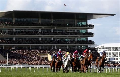 Cheltenham Day 1 Tips: 3 selections to consider on Tuesday.